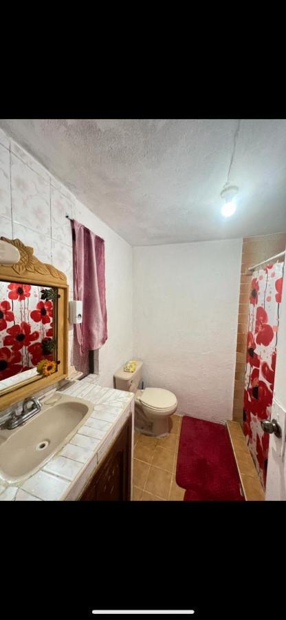 Home Sweet Home Гуанахуато Экстерьер фото